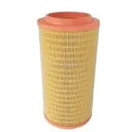 [PL 0040943504] Air Filter Cartridge